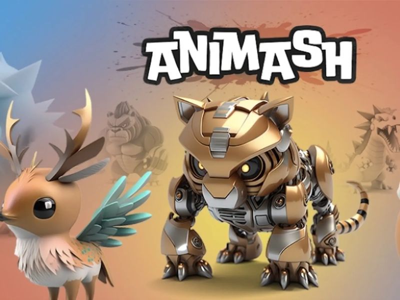 Tổng Quan Tại Hack Animash