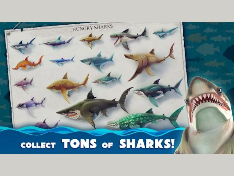 38 loài cá mập trong Hack Game Hungry Shark World