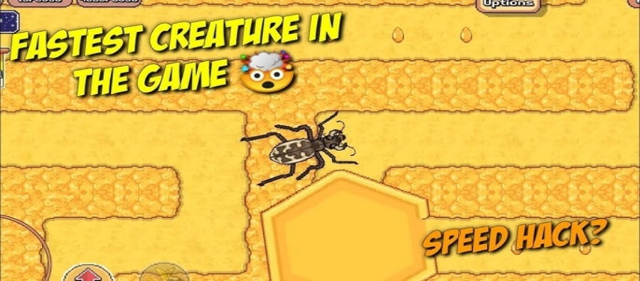 Hack Pocket Ants 2