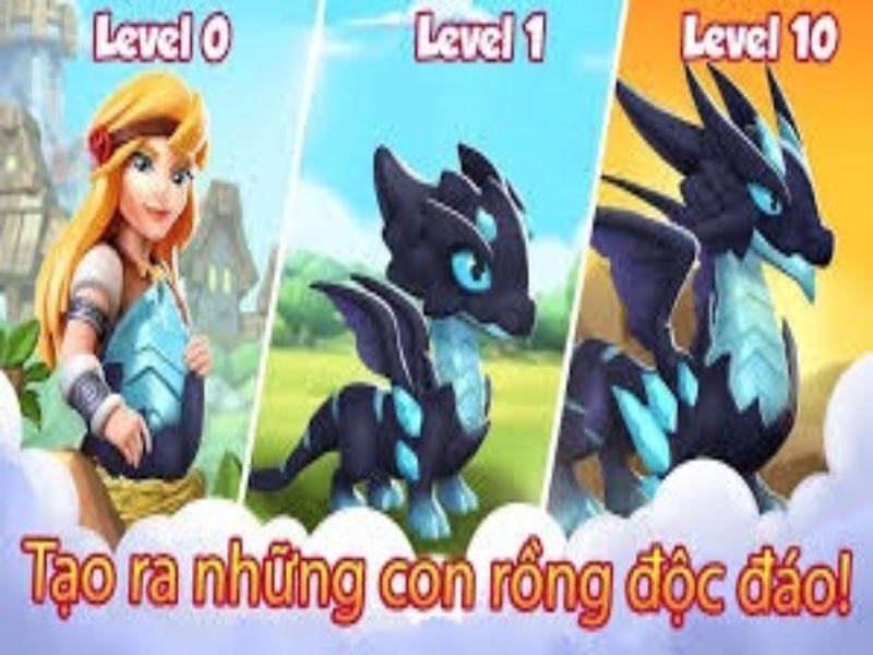 Lên cấp cho rồng và mở rộng bộ sưu tập